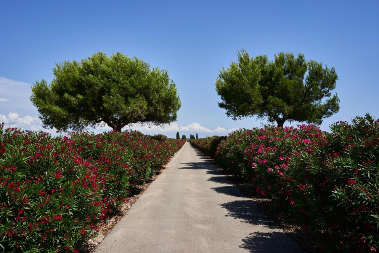Masseria Bagnara Resort & Spa Marina di Lizzano Exterior photo